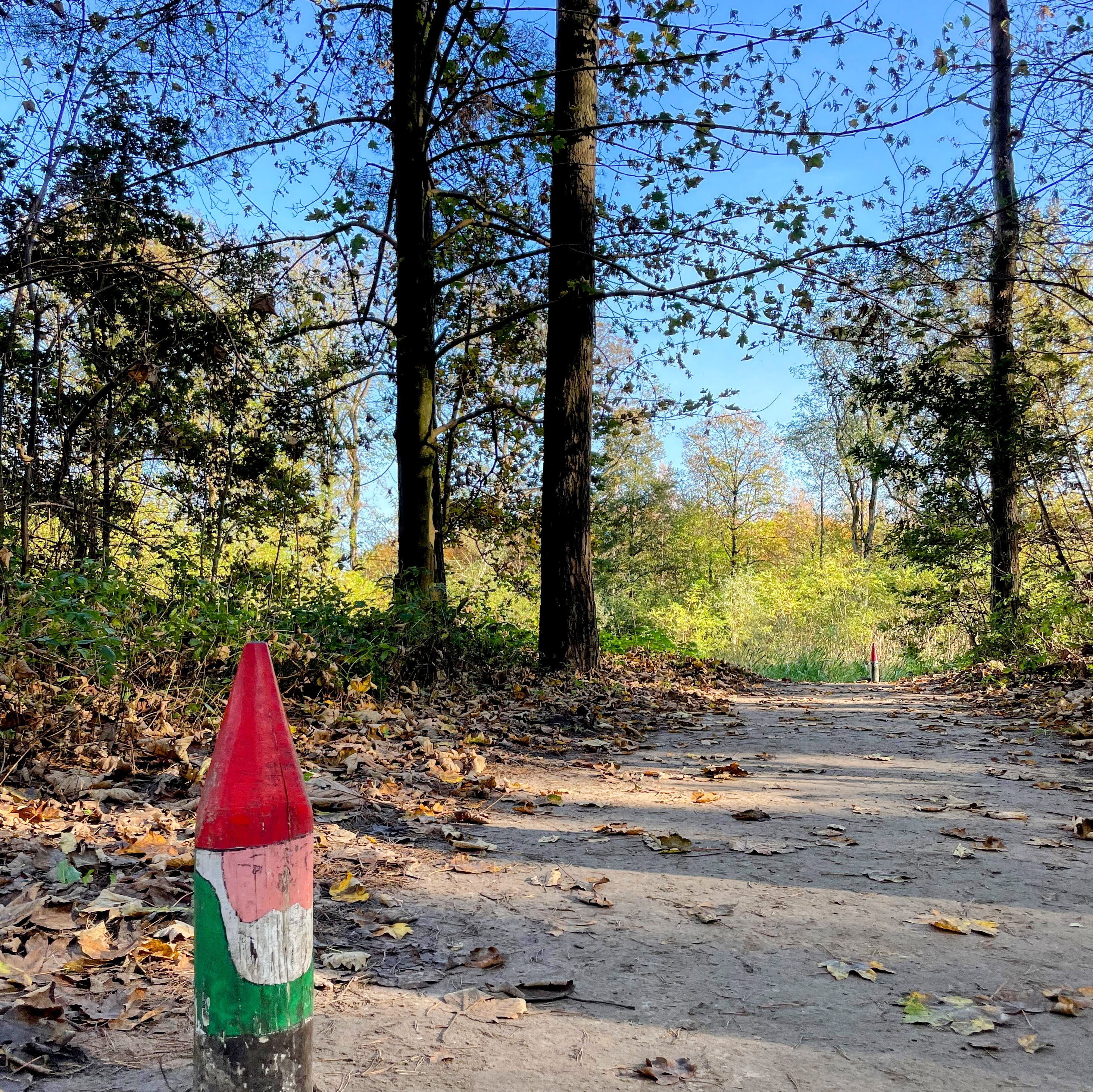 Gnome trails in Winter